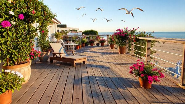 Top conseils pour entretenir votre terrasse en bois à Hossegor